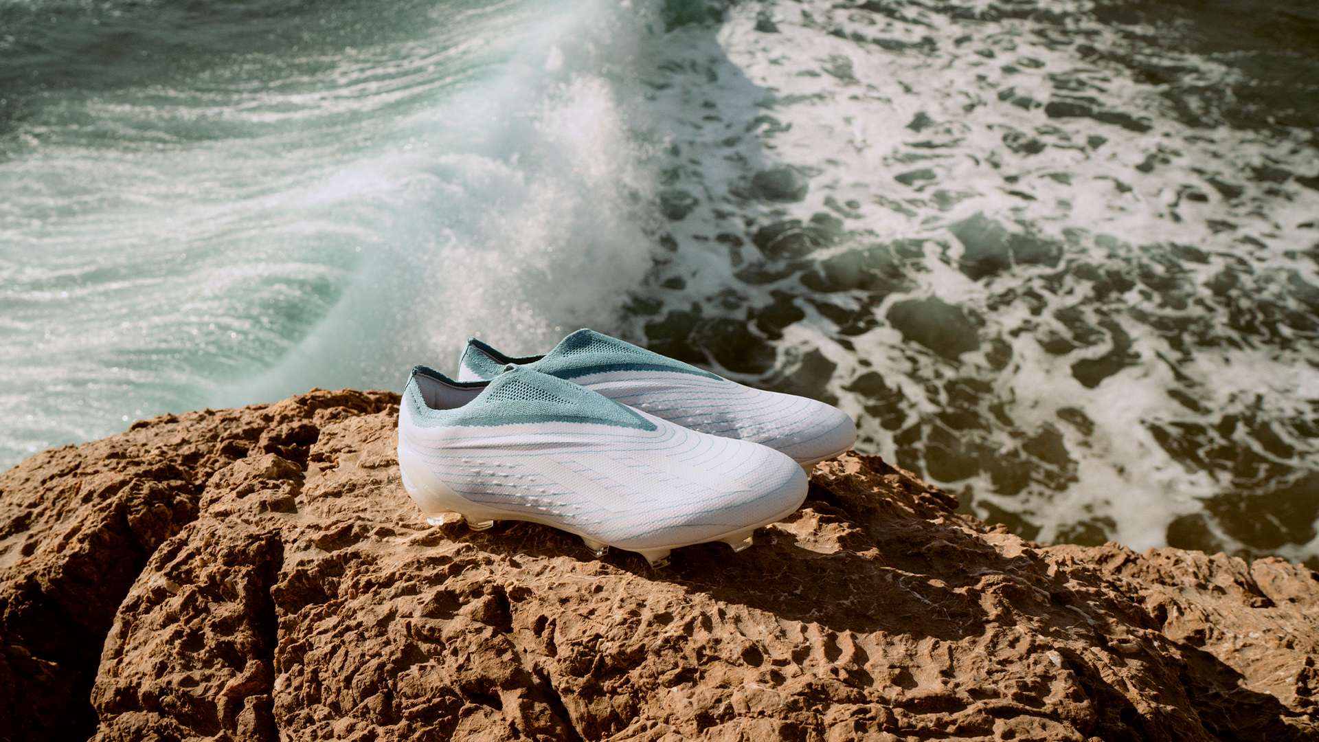 顽强斗志 顽强斗志